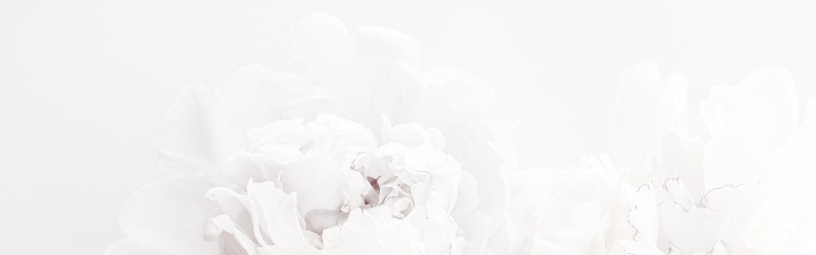 Black & White Collection - Natkina