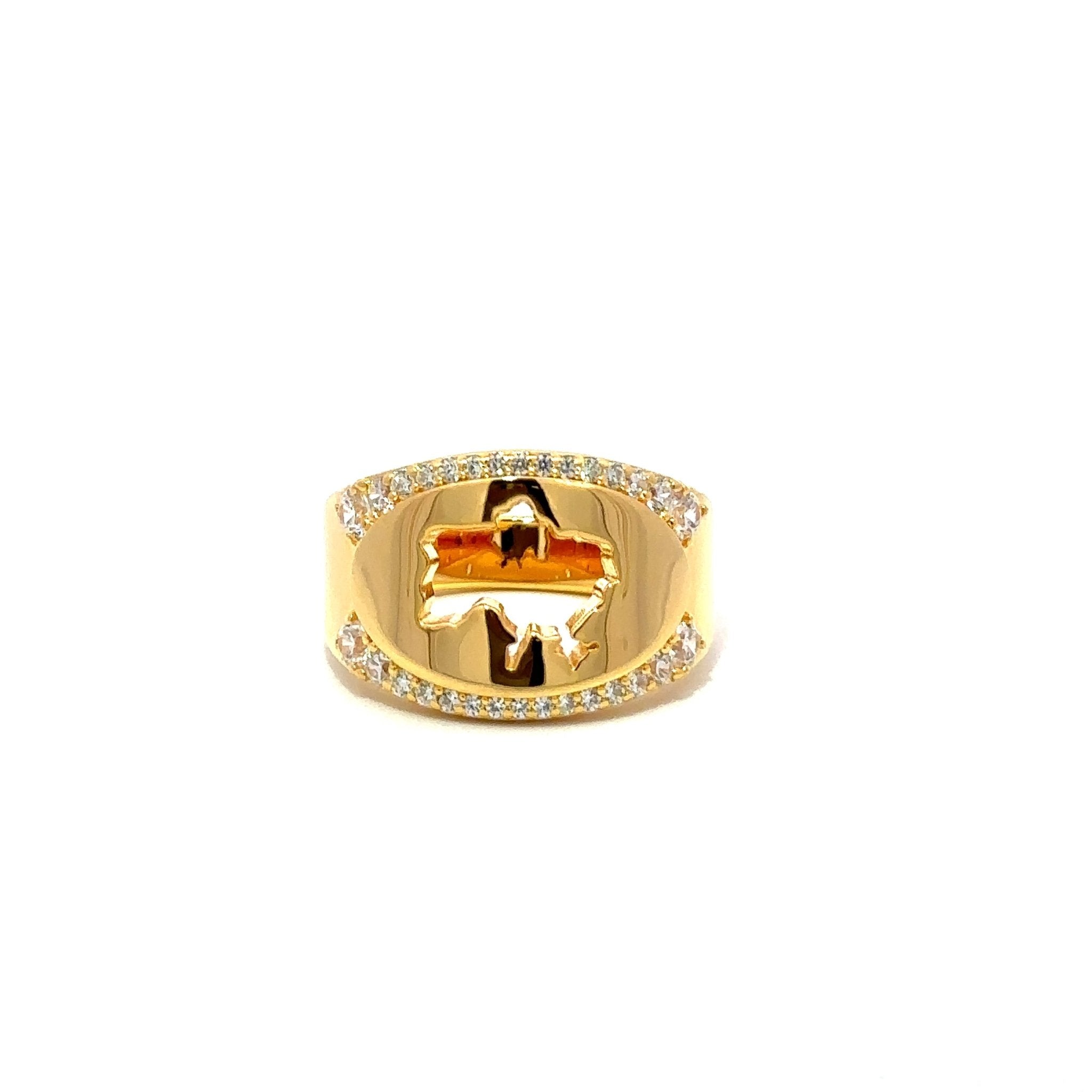 +380 Ukrainian Map Ring Zirconia by Natkina