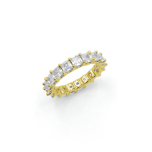 Chain Collection Ring
