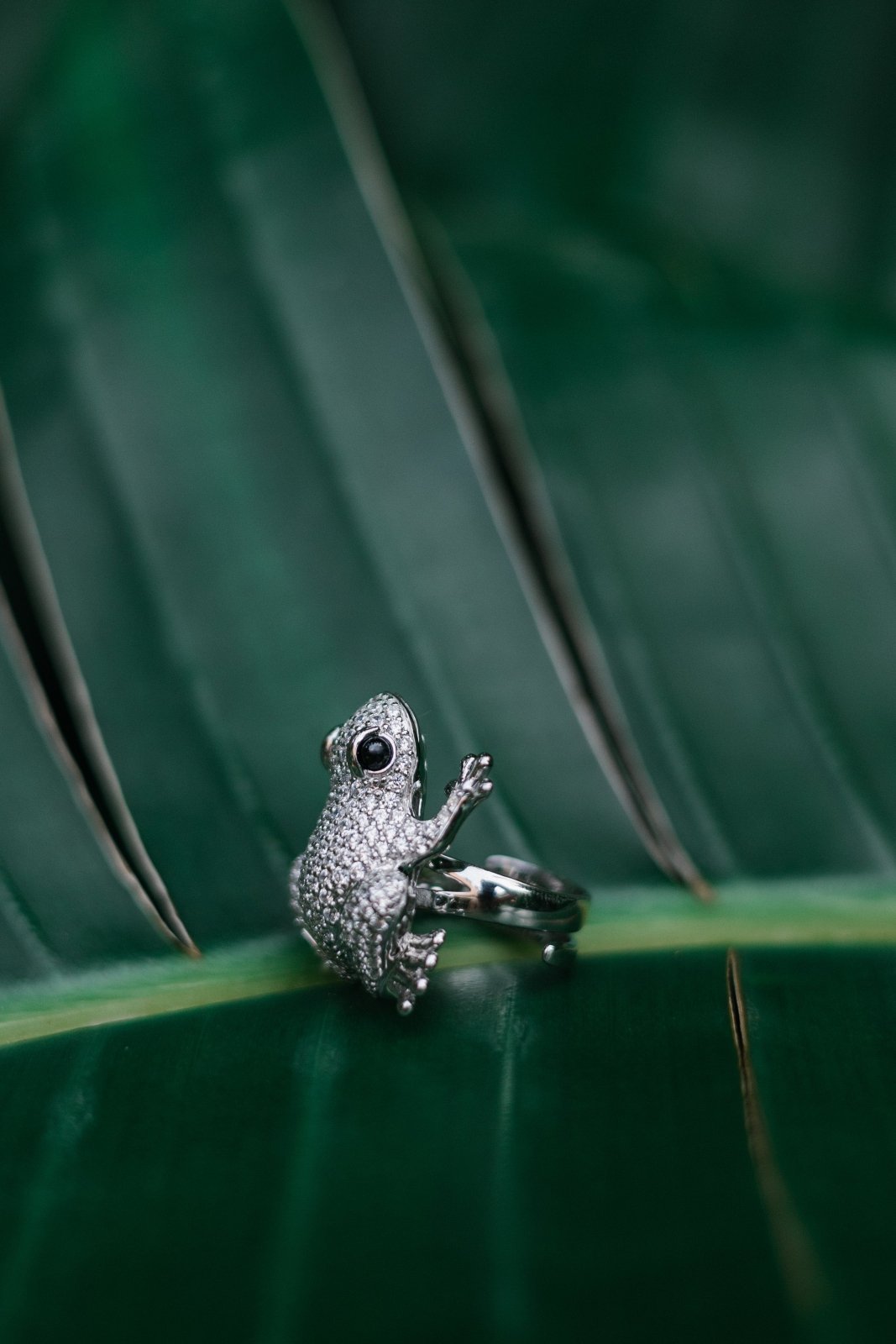 Lucky White Frog Silver Ring by Natkina